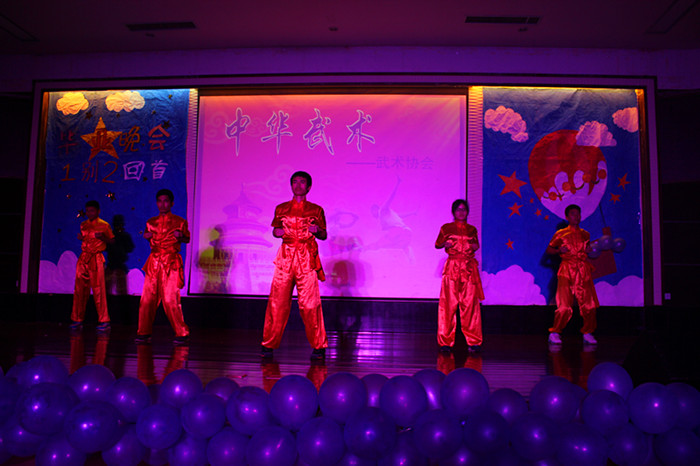 武术表演_副本.jpg