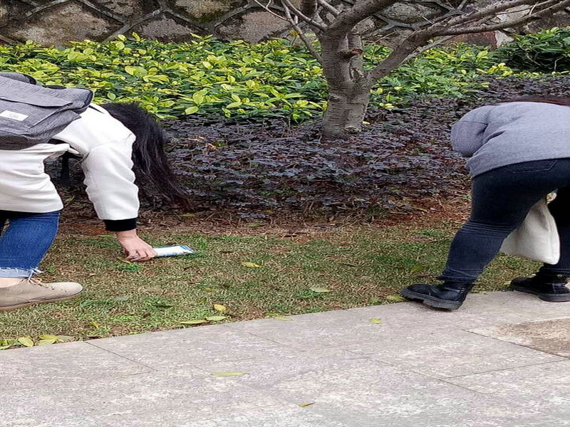随手捡起校园内被遗弃在地上的垃圾_副本.jpg
